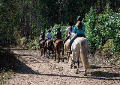 Public Lands at a Crossroads: USDA, Congress Target Wilderness Protections