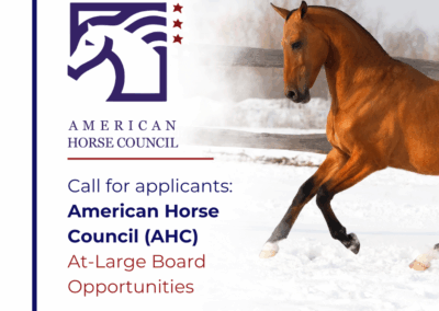 At-Large Board Opportunities