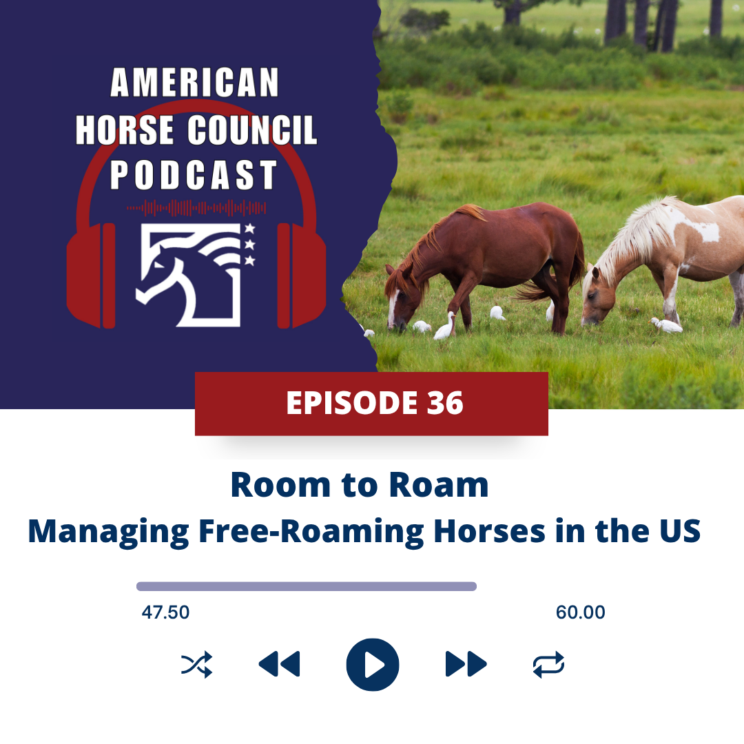 Episode 13 Adopt a Horse Month