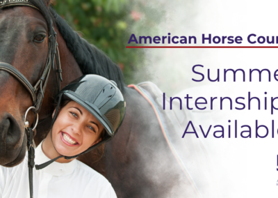 American Horse Council Announces Summer 2026 Internship Opportunities