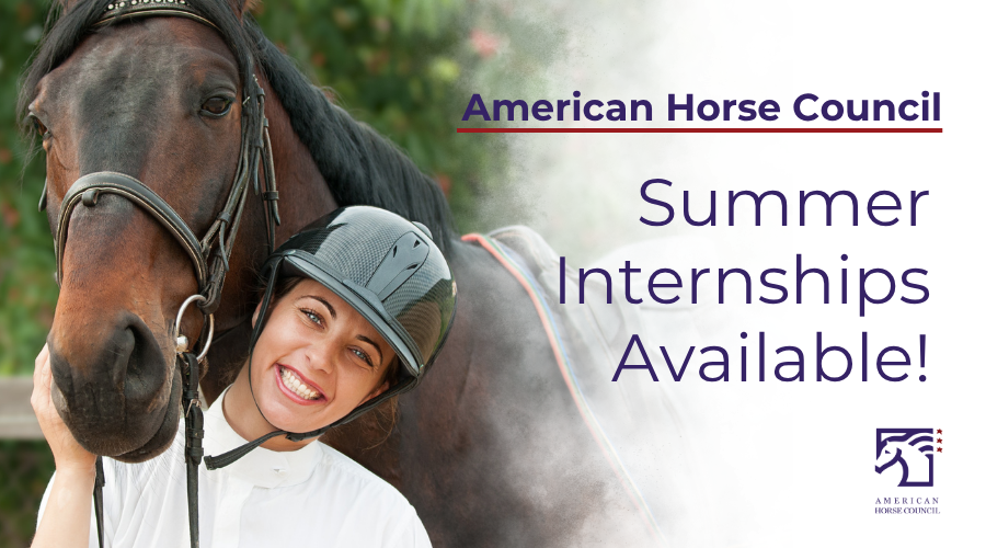 American Horse Council Announces Summer 2026 Internship Opportunities