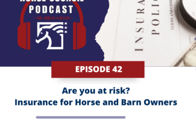Are you at risk? Insurance for Horse and Barn Owners